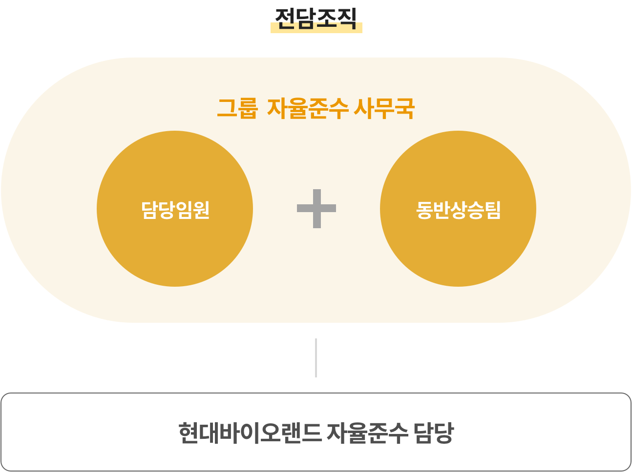 현대바이오 전담조직 이미지